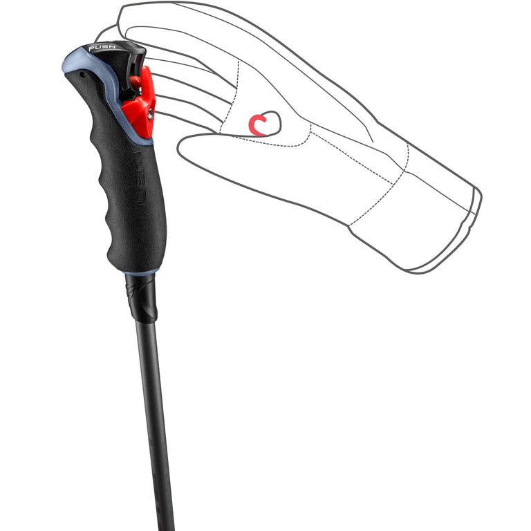 Carbon 12 TR