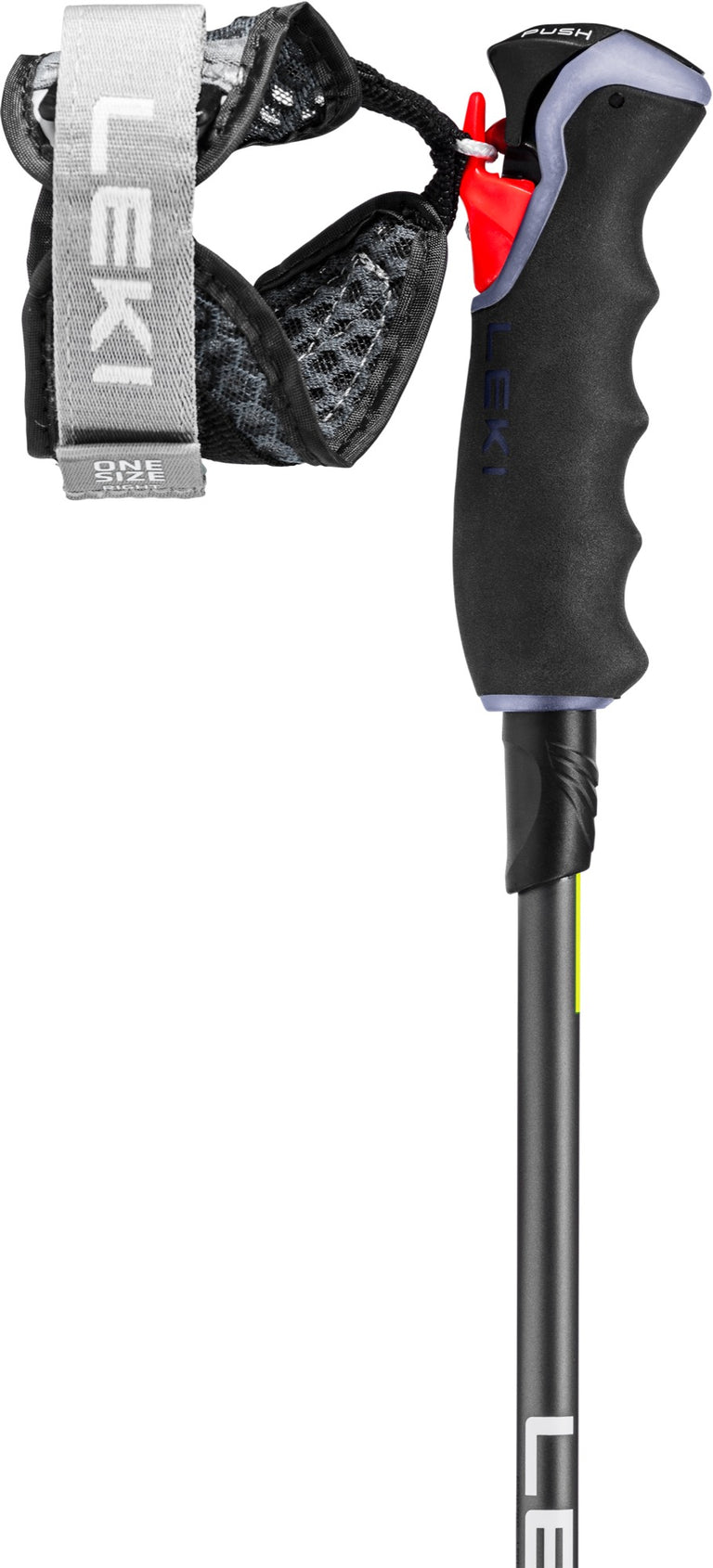 Carbon 12 3D